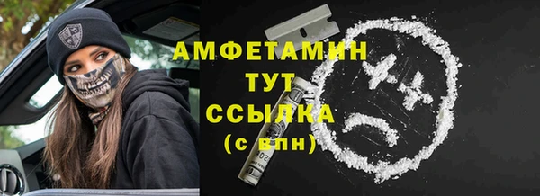 гашик Алексеевка