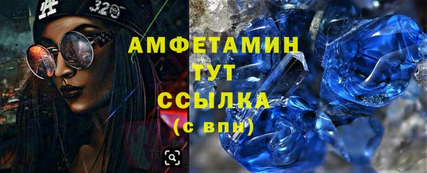 гашик Алексеевка