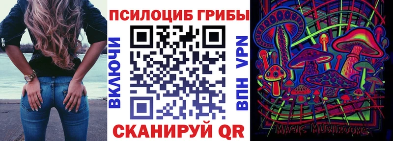 Псилоцибиновые грибы Psilocybe Билибино